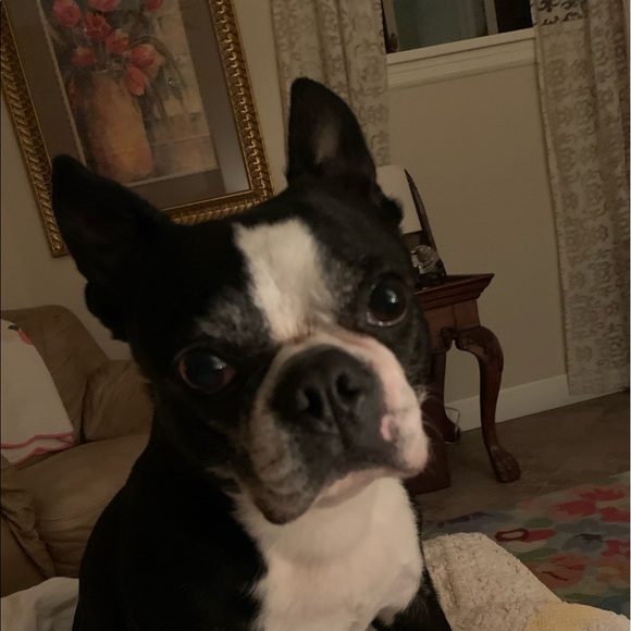 ❤️❤️ ❤️❤️ - Picture 15 of 16